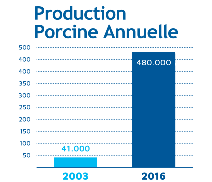 Production Porcine Annuelle